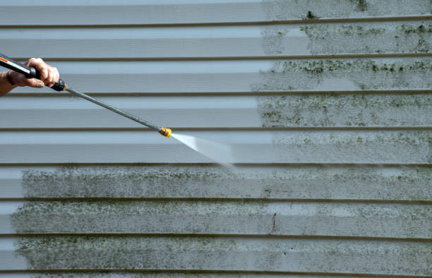 Best Local Pressure Washing Services  in Svis, IL